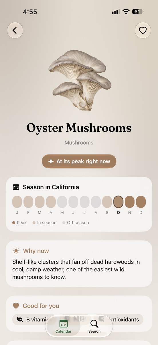 Peach & Pea: Oyster mushrooms season and ingredient details